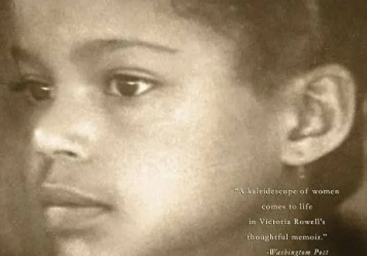 Book cover of "The Women Who Raised Me